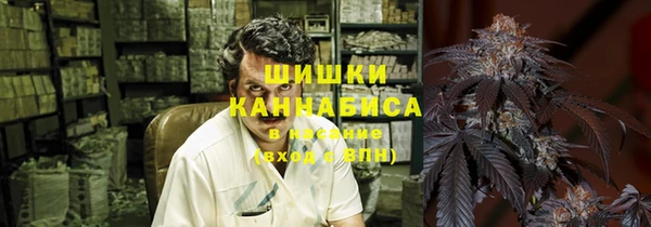 стаф Богородск